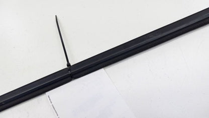 Honda Civic Door Glass Window Weather Strip Trim Rear Left Back 2006 2007 2008