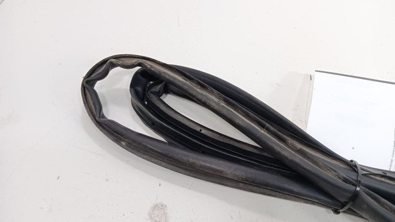 Chevrolet Equinox On Door Seal Rubber Left Rear Back 2018 2019 OEM