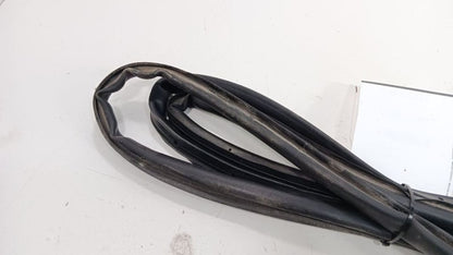 Chevrolet Equinox On Door Seal Rubber Left Rear Back 2018 2019 OEM