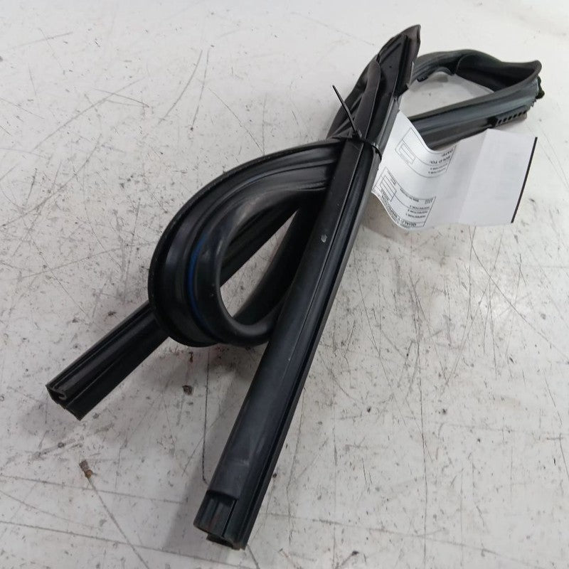 Nissan Kicks Door Glass Window Seal Rubber Right Passenger Front  2021