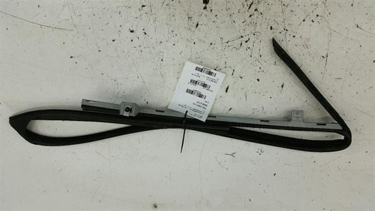 2008 2009 2010 2011 Chevy Malibu Door Glass Window Seal Rubber Right Passenger Front  2012