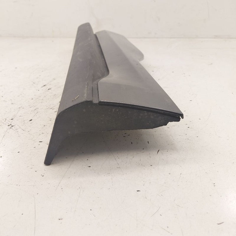 Ford Edge Door Molding Trim Strip Left Driver Side Rear Back 2019 2020