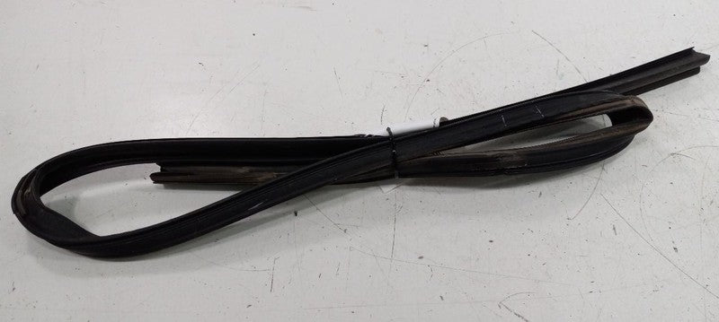 Dodge Journey Door Glass Window Seal Rubber Left Rear Back 2014 2015 2