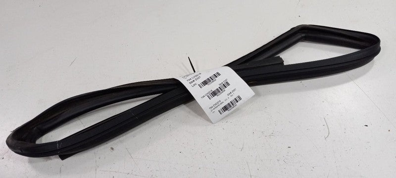 Dodge Journey Door Glass Window Seal Rubber Left Driver Front 2016 201