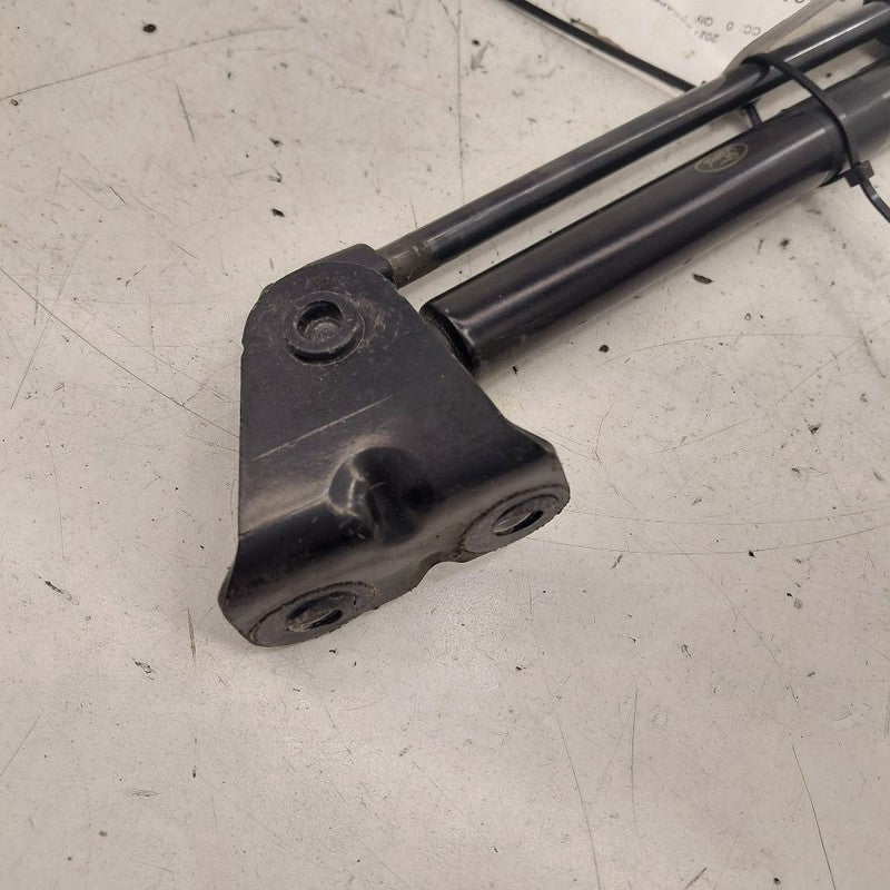 Ford Escape Hatchback Hatch Back Trunk Lid Shock Strut Support  2020 2