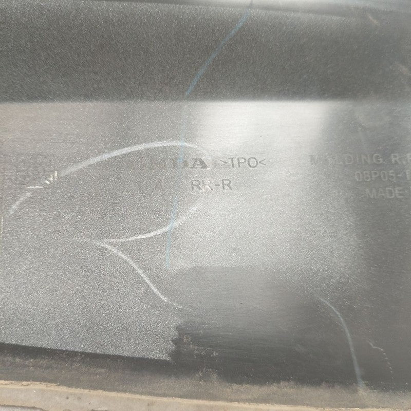 Honda CR-V Door Molding Trim Strip Right Passenger Side Rear Back 2019