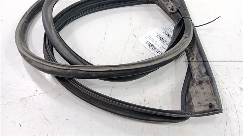 Hyundai Sonata On Door Seal Rubber Left Rear Back 2018 2019 OEM