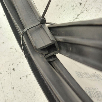 Cadillac CT6 Door Glass Window Seal Rubber Left Driver Front  2018 201