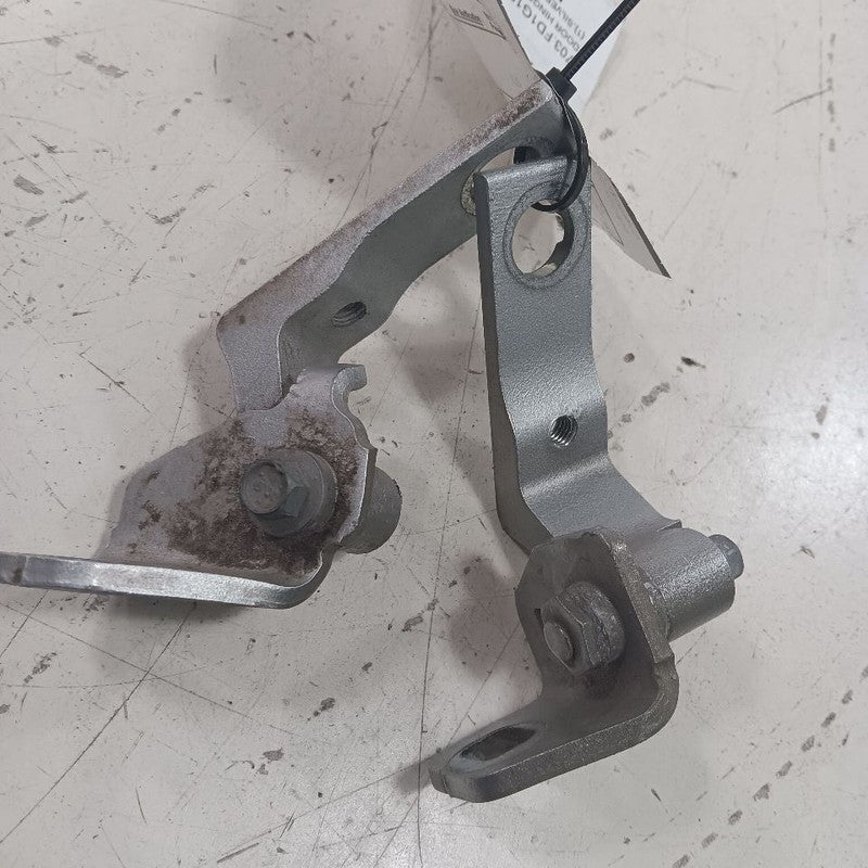 Ford Focus Door Hinge Set Right Rear Passenger  2018 2017 2016 2015 OE