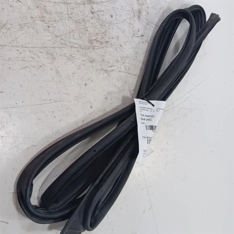 Buick Encore On Door Seal Rubber Left Driver Front  2017 2018 2019 2020