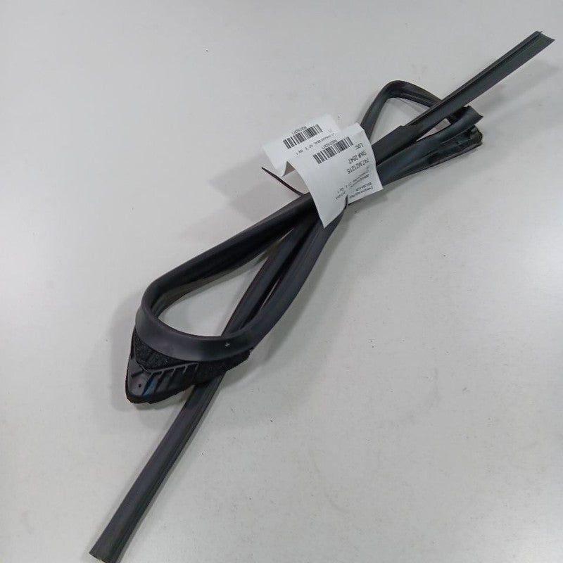 Mazda CX-5 Door Glass Window Seal Rubber Left Driver Rear Back 2016 20