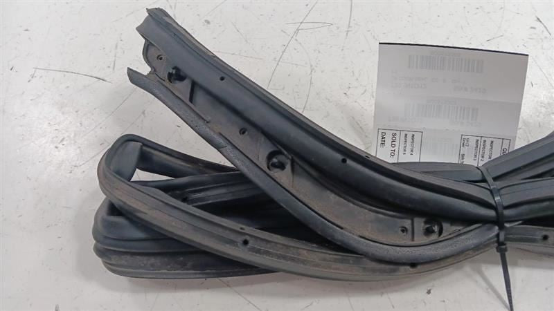 Infiniti G37 On Door Seal Rubber Left Rear Back  2011 2012 2013