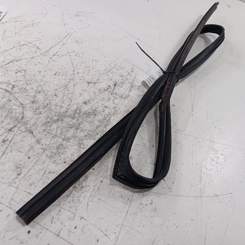 Subaru Forester Door Glass Window Seal Rubber Left Rear Back  2016 201