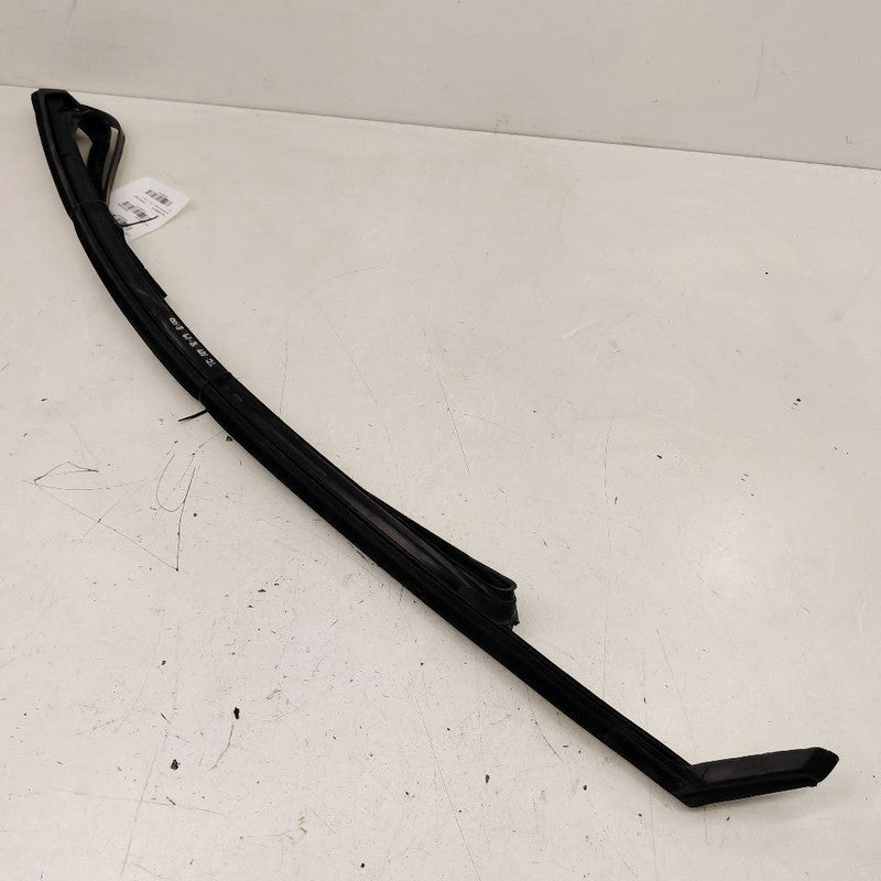 Cadillac XTS Door Glass Window Seal Rubber Right Passenger Front      