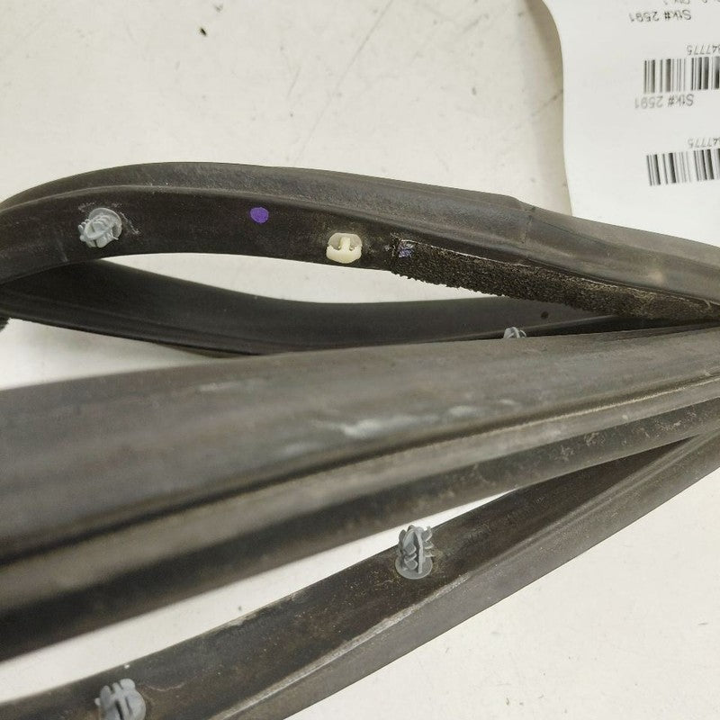 Chrysler 300 On Door Seal Rubber Right Passenger Front  2017 2018 2019