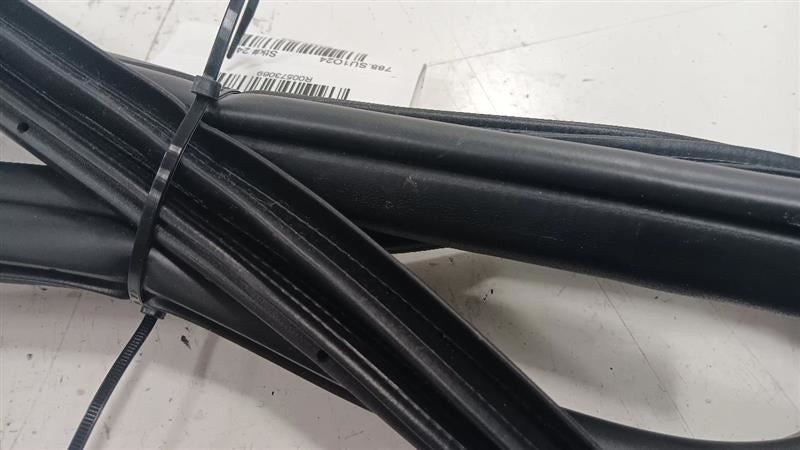 2024 2025 2026 Subaru Impreza On Body Door Jamb Seal Rear Left Driver 