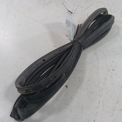 Ford Ecosport On Door Seal Rubber Left Driver Rear Back 2022 2021 2020