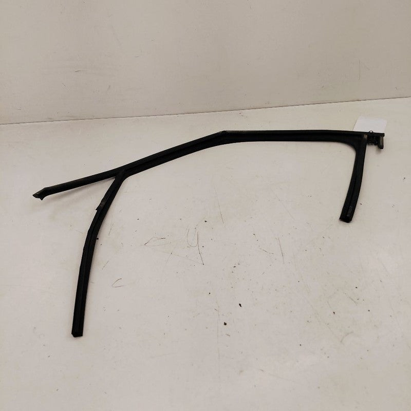 Chevy Trailblazer Door Glass Window Seal Rubber Left Driver Front 2023