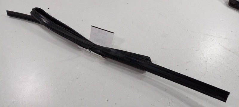 Cadillac SRX Door Glass Window Seal Rubber Right Passenger Rear Back 2