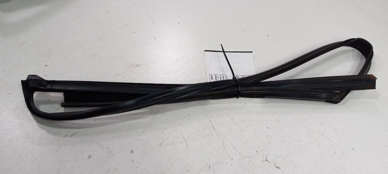Mazda 3 Door Glass Window Seal Rubber Right Passenger Front 2010 2011 