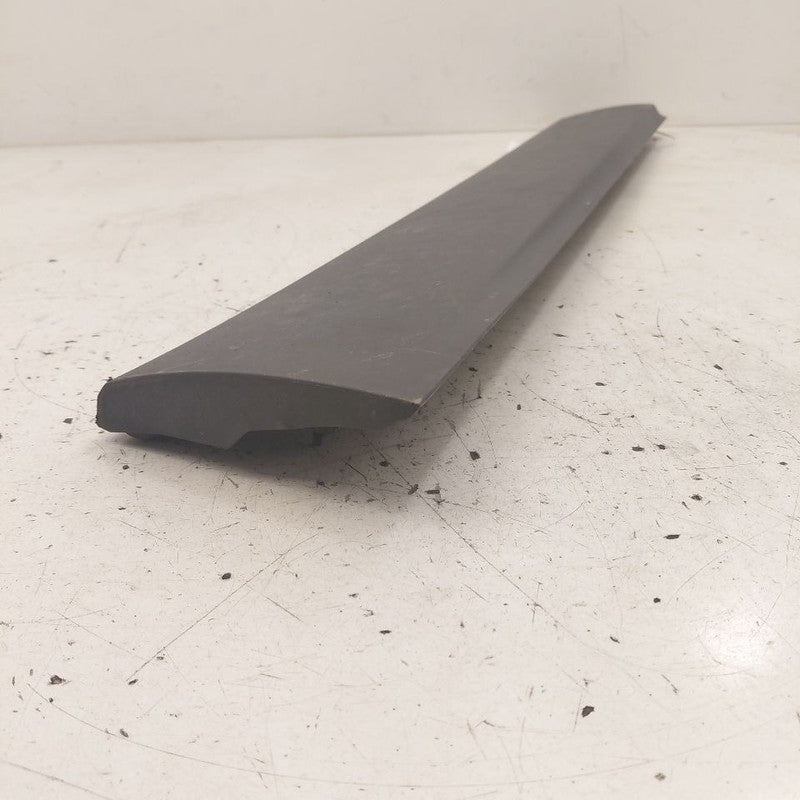 Kia Sorento Door Molding Trim Strip Right Passenger Side Front  2018 2