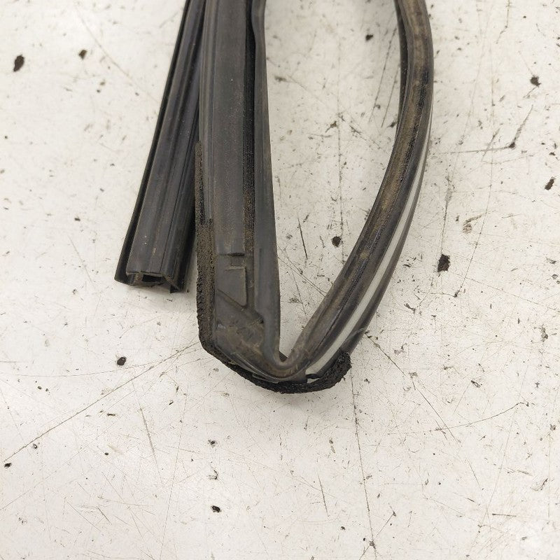 Honda CR-V Door Glass Window Seal Rubber Right Passenger Front  2019 2