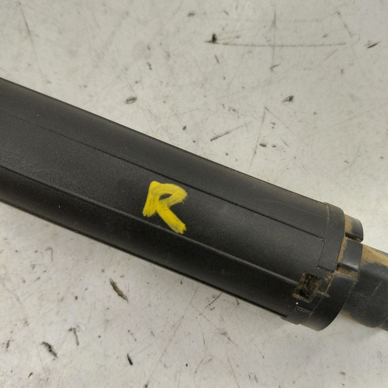 Chevy Equinox Hatchback Hatch Back Trunk Lid Shock Strut Support  2024
