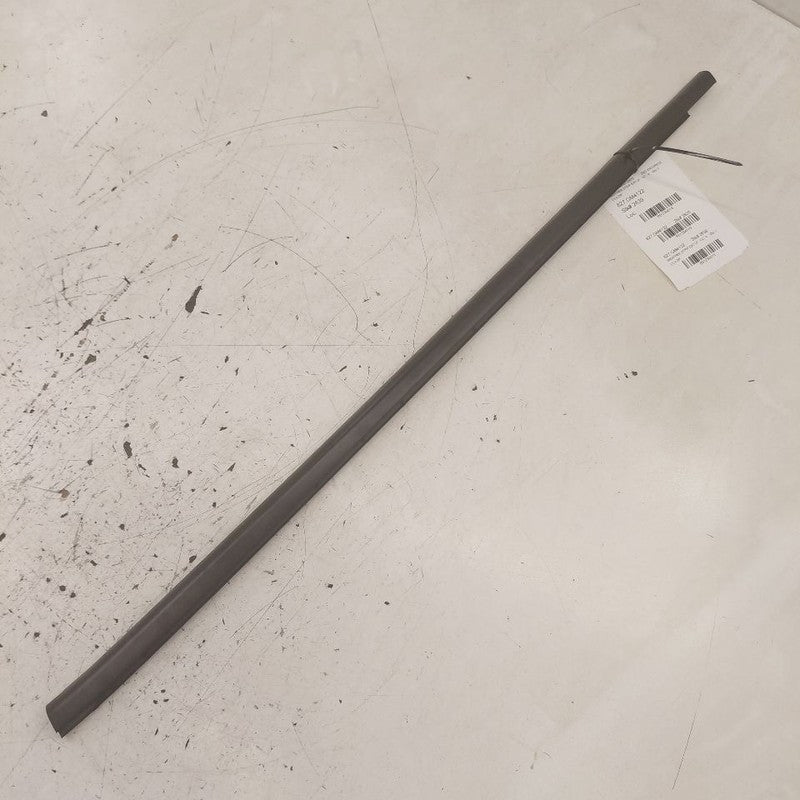 Buick Encore GX Door Glass Window Weather Strip Trim Front Left Driver