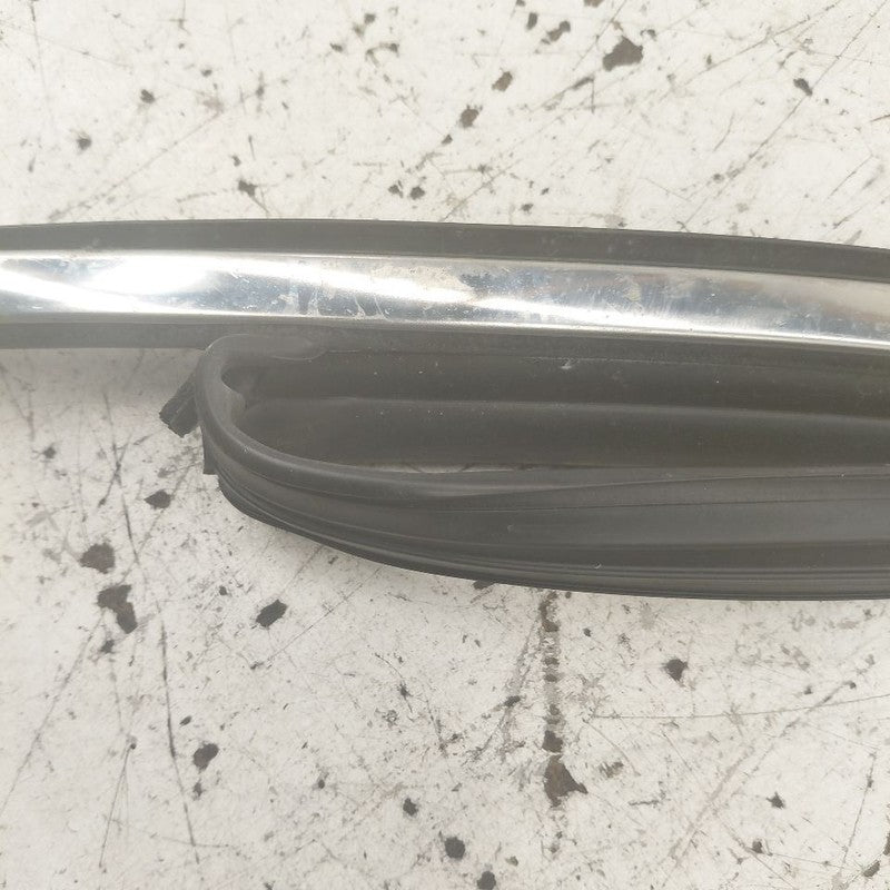 Hyundai Santa Fe Door Glass Window Seal Rubber Left Driver Front  2019