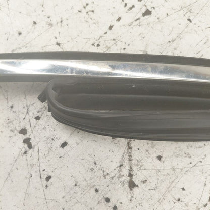 Hyundai Santa Fe Door Glass Window Seal Rubber Left Driver Front  2019