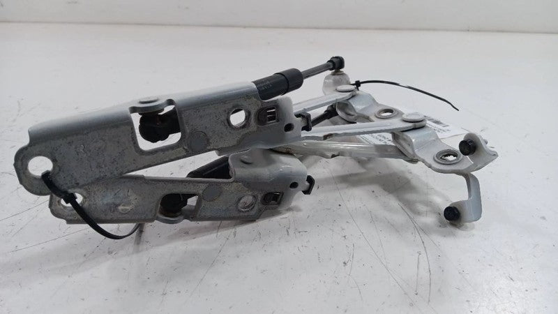 Infiniti G37 Trunk Lid Hinge  2011 2012 2013 OEM