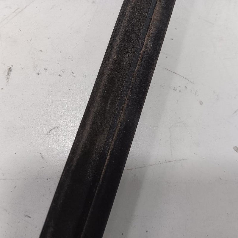 Nissan LEAF Door Glass Window Weather Strip Trim Rear Left Driver Back 2013 2014