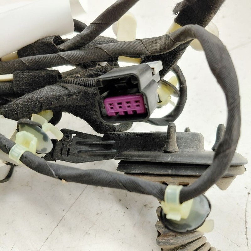 Cadillac XTS Door Harness Wire Wiring Left Driver Rear      2016 2017 