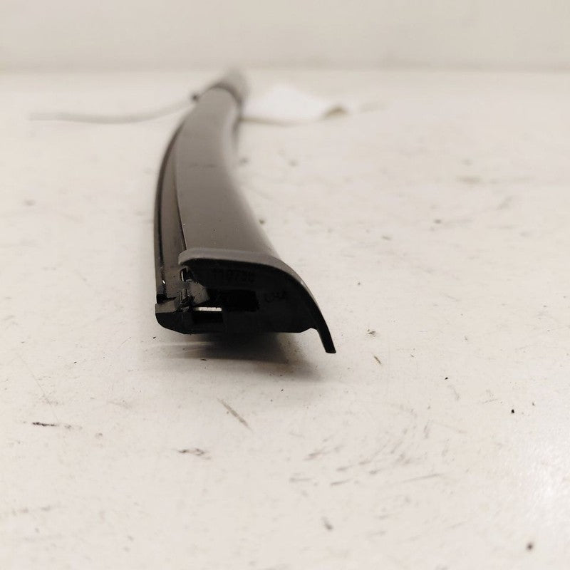 Buick Encore GX Door Glass Window Weather Strip Trim Rear Left Driver 
