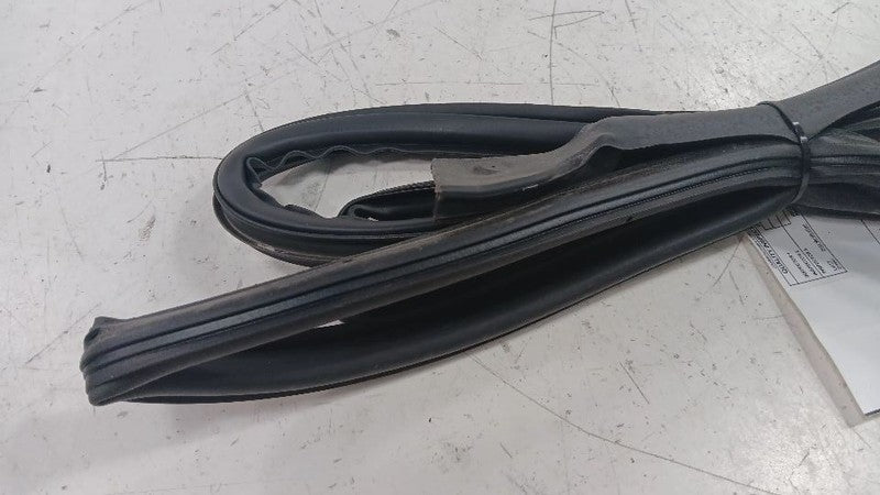 Chevy Volt On Door Seal Rubber Left Rear Back  2011 2012 2013 2014 201