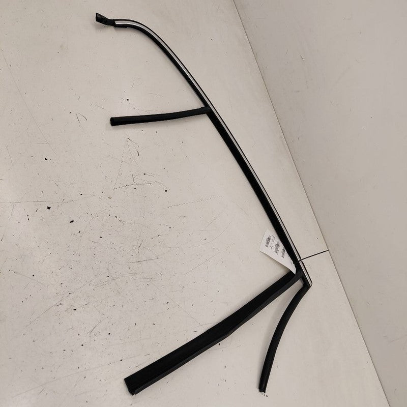Volvo S60 Door Glass Window Seal Rubber Right Passenger Rear Back  201