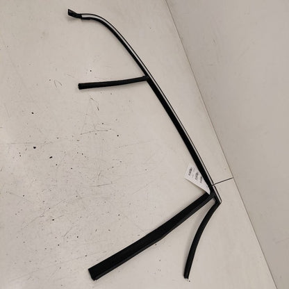 Volvo S60 Door Glass Window Seal Rubber Right Passenger Rear Back  201