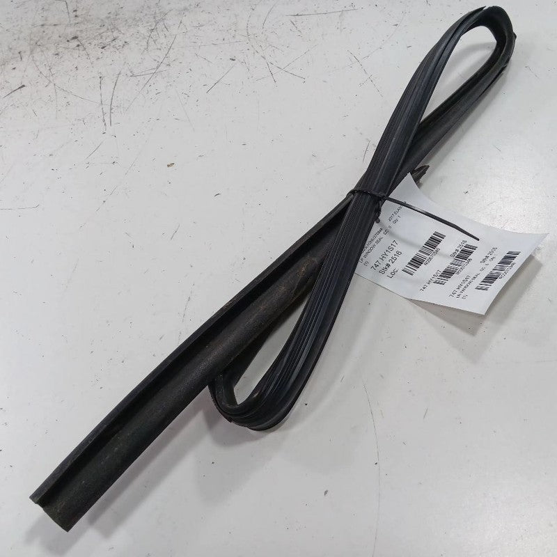 Hyundai Elantra Door Glass Window Seal Rubber Left Rear Back  2017 201