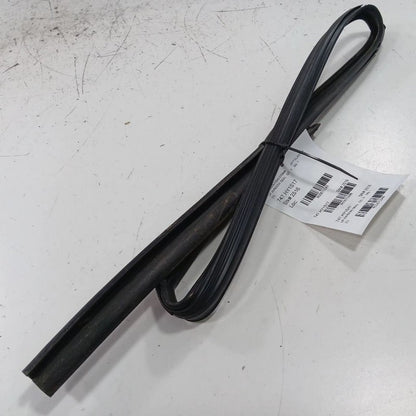 Hyundai Elantra Door Glass Window Seal Rubber Left Rear Back  2017 201