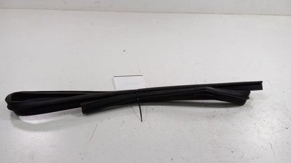 Dodge Journey Door Glass Window Seal Rubber Left Rear Back 2012 2013 2014