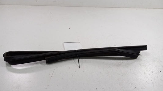 Dodge Journey Door Glass Window Seal Rubber Left Rear Back 2012 2013 2014