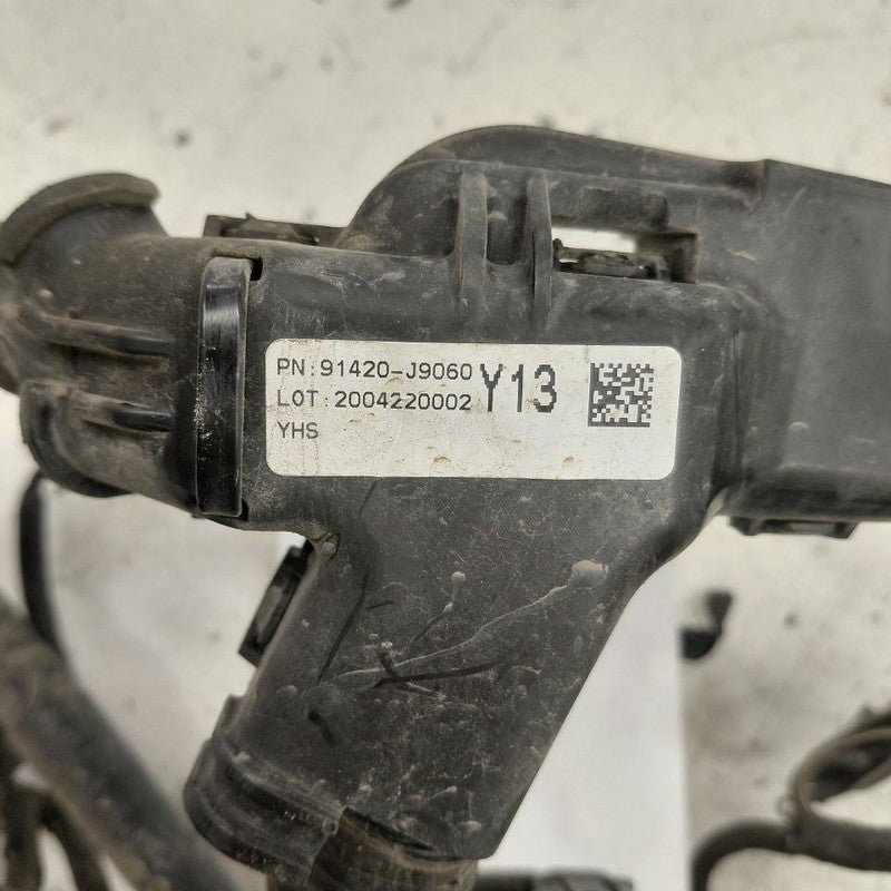 Hyundai Kona Engine Wire Wiring Harness  2.0 2021 2020 2019