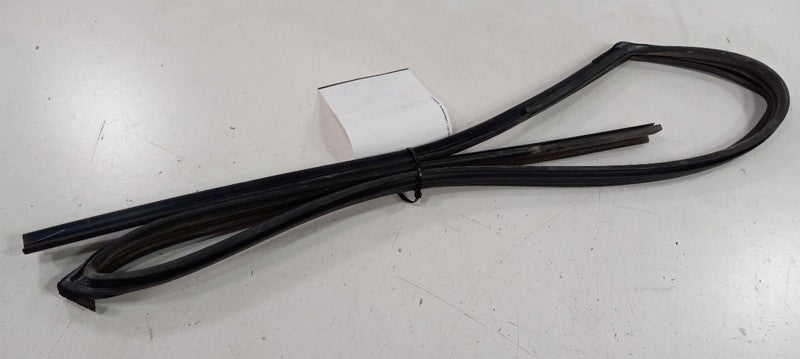 Kia Forte Door Glass Window Seal Rubber Right Passenger Front 2010 201
