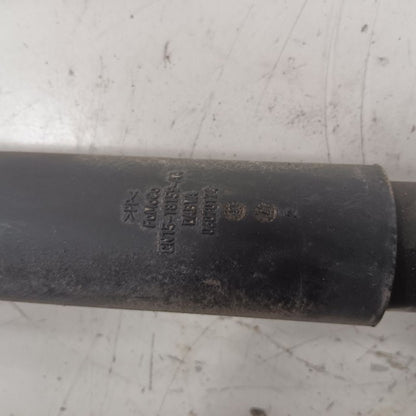 Ford Ecosport Left Rear Shock Absorber  2022 2021 2020 2019 2018 OEM