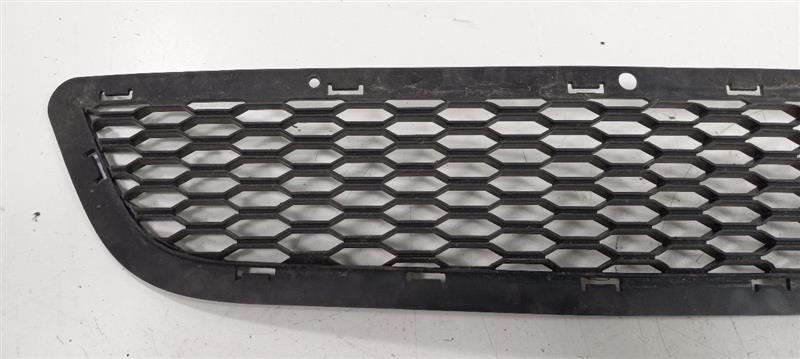 Grille Grill Lower Painted Fits 11-20 Dodge Journey OEM