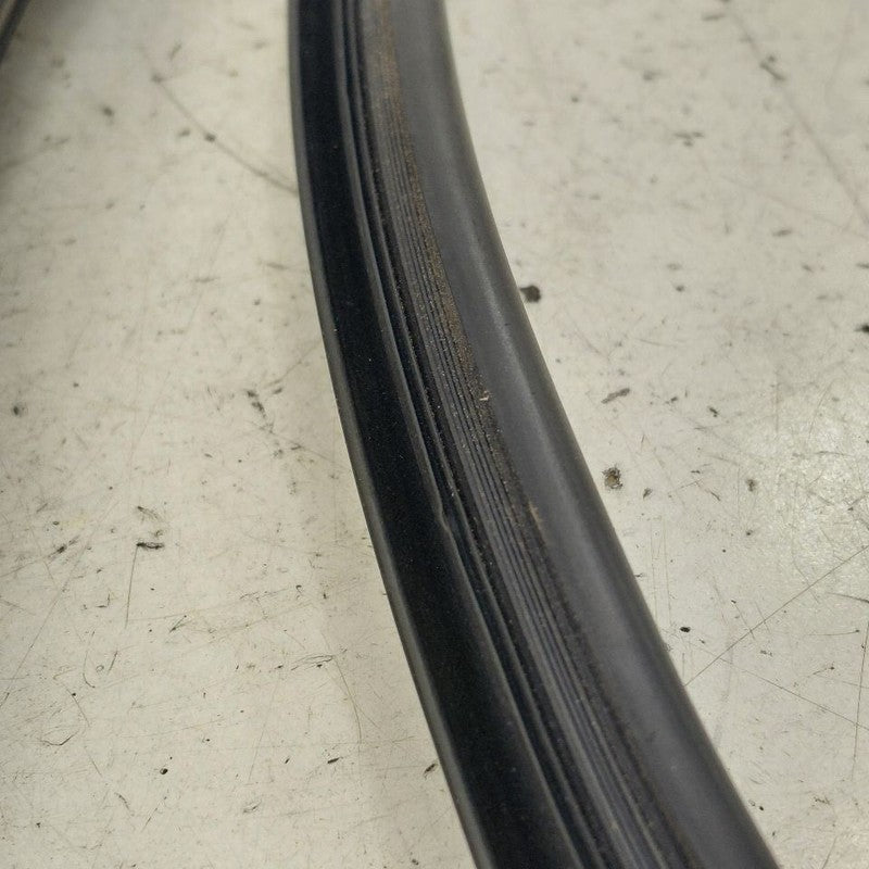 Volvo S60 Door Glass Window Seal Rubber Right Passenger Rear Back  201