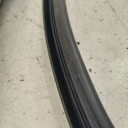 Volvo S60 Door Glass Window Seal Rubber Right Passenger Rear Back  201