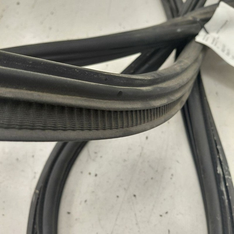 Ford Escape Trunk Lid Hatch Door Rear Back Rubber Seal  2020 2021 2022