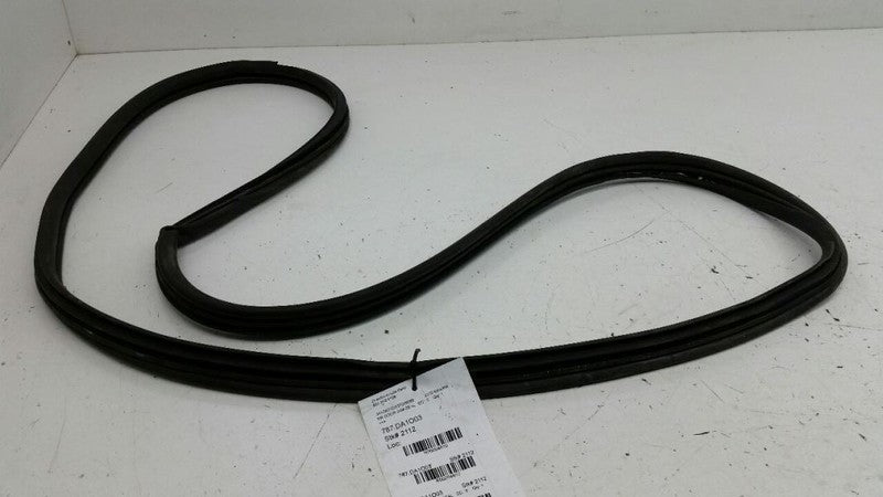 2003 Nissan Maxima On Body Door Jamb Seal Gasket Rear Right Passenger Back 2002
