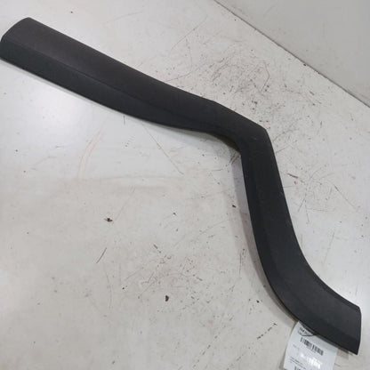 Jeep Renegade Door Molding Trim Strip Right Passenger Side Rear Back 2023 2022 